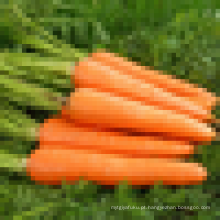 250-300g preço cenouras orgânicas